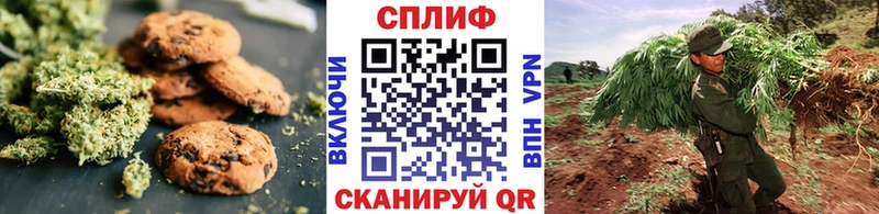 Cannafood конопля Мураши