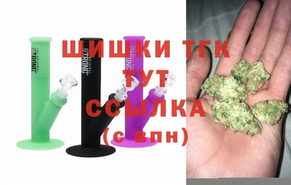 молекула духа Вяземский