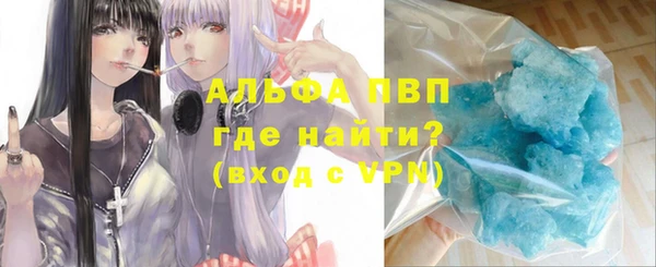 молекула духа Вяземский
