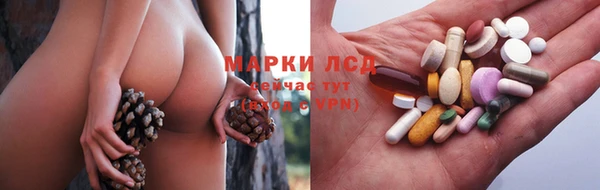 молекула духа Вяземский
