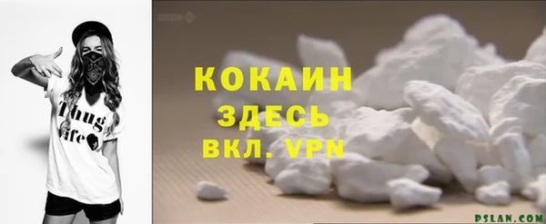 молекула духа Вяземский