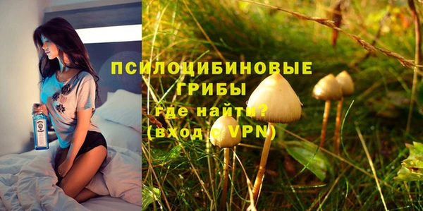 молекула духа Вяземский