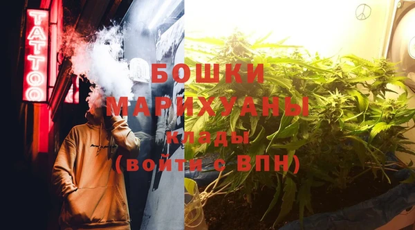 шишки Вязники