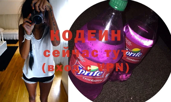 молекула духа Вяземский