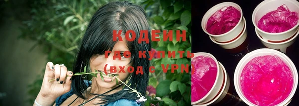 шишки Вязники