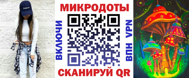Галлюциногенные грибы Psilocybine cubensis  Купить  Мураши 